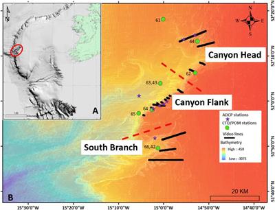 Are Non-reef Habitats as Important to Benthic Diversity and Composition as Coral Reef and Rubble Habitats in Submarine Canyons? Analysis of Controls on Benthic Megafauna Distribution in the Porcupine Bank Canyon, NE Atlantic